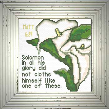 Solomon Lilies Matthew 6:29