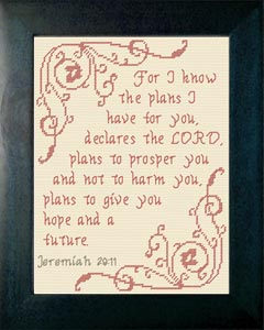 Plans - Jeremiah 29:11